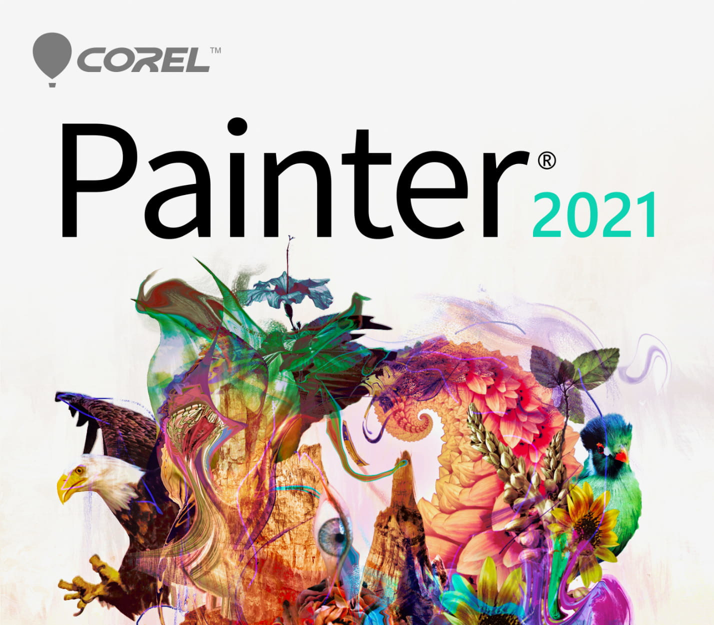 Key kích hoạt Corel Painter 2021 CD Key (2 PCs)